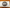 1845 Meat Company Gift Card