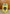 German Mustard 8 fl. oz. (236ml)