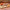 Apple Sausage Multipack 3 - 1 lb. Packages