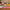 Some of our best. Includes: 1 lb. of Pork & Beef Sausage 8 oz. Smoked Cheddar Cheese 2 1/2 lb. Smoked Chicken 2 - 3 lb. Smoked Boneless Ham 16 oz. Jar of Bread & Butter Pickles 8 oz. Jar of Honey Dijon Mustard Item #45