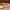 Peach Jalapeno Sausage Multipack 3 - 1 lb. Packages