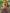 Pickled Carrot Sticks 16 fl. oz. (473 mL)